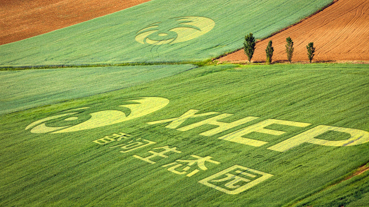 香河农业标志设计